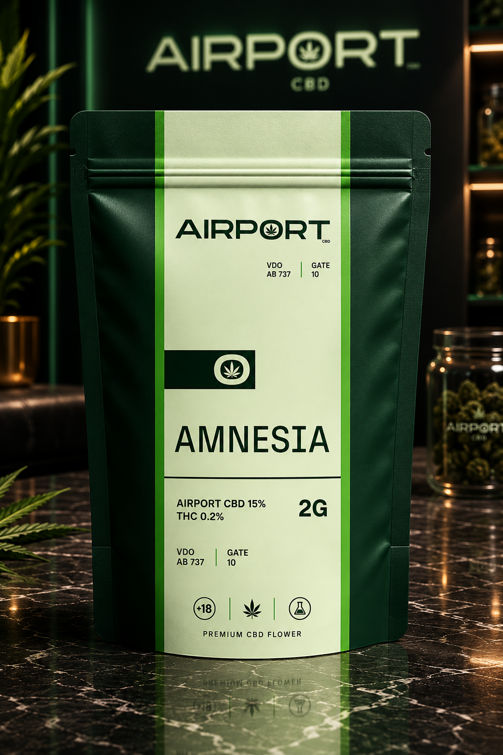Amnesia