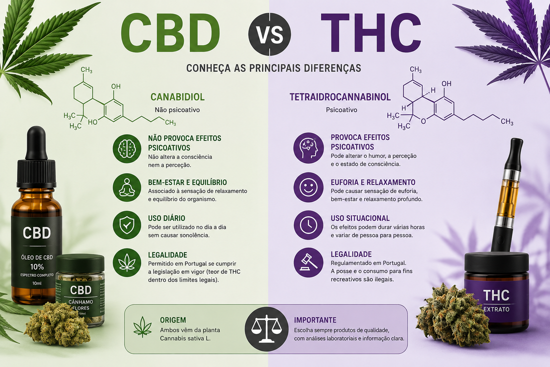 CBD vs THC: Quais são as Diferenças? Guia Completo 2026