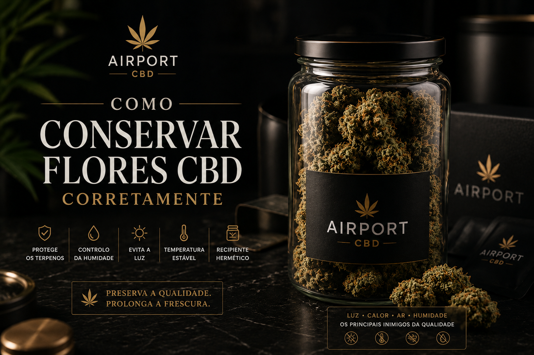 Como Conservar Flores CBD Corretamente