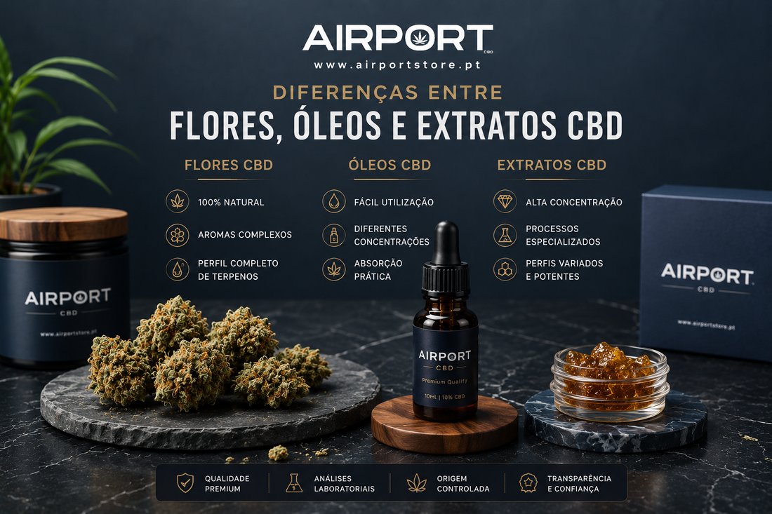 Diferenças Entre Flores, Óleos e Extratos CBD