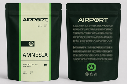 Amnesia