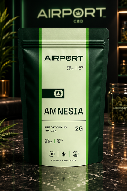 Amnesia