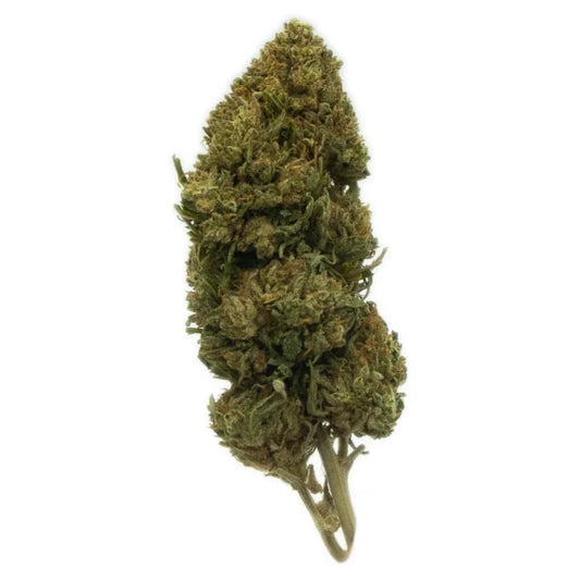 Cali Haze